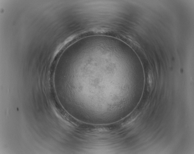 X0000061740492200512231504