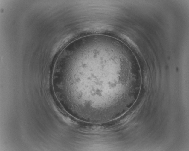 X0000061740493200512231504