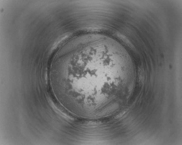 X0000061740494200512231504