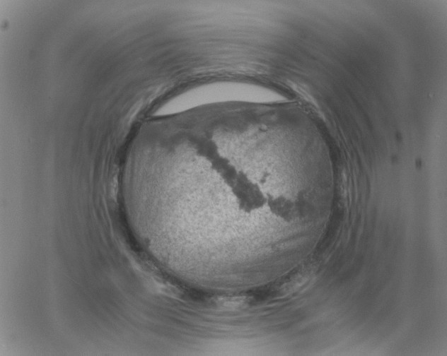 X0000061740495200512231504