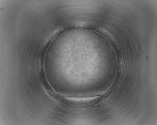 X0000061740496200512231504