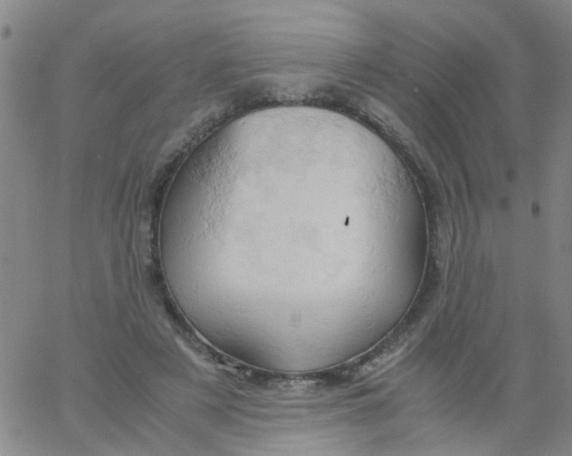 X0000061740497200512231503