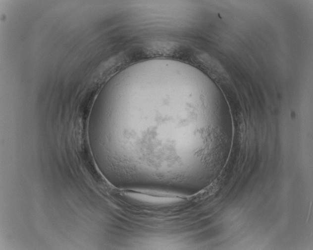 X0000061740498200512231503