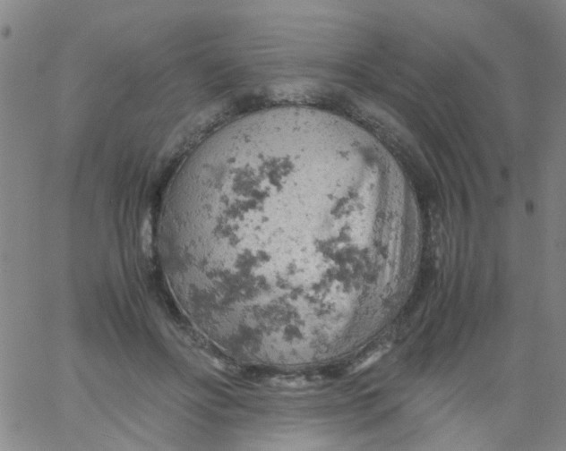 X0000061740502200512231503