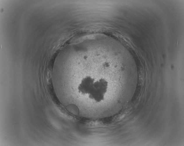 X0000061740503200512231503