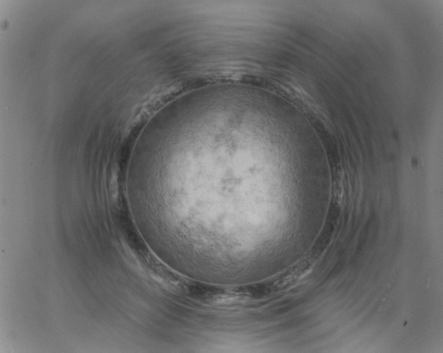 X0000061740504200512231503