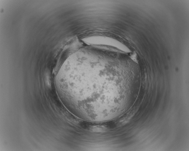 X0000061740508200512231503