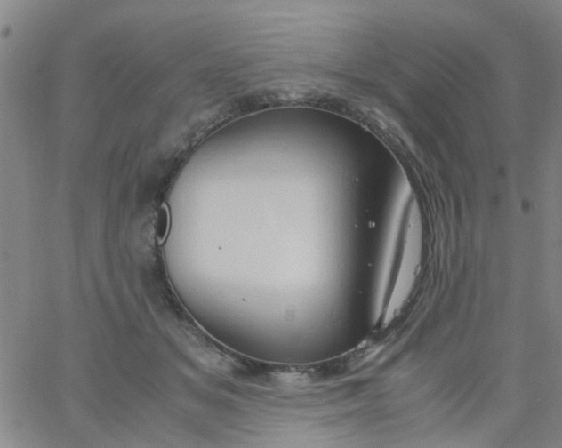 X0000061740509200512231503