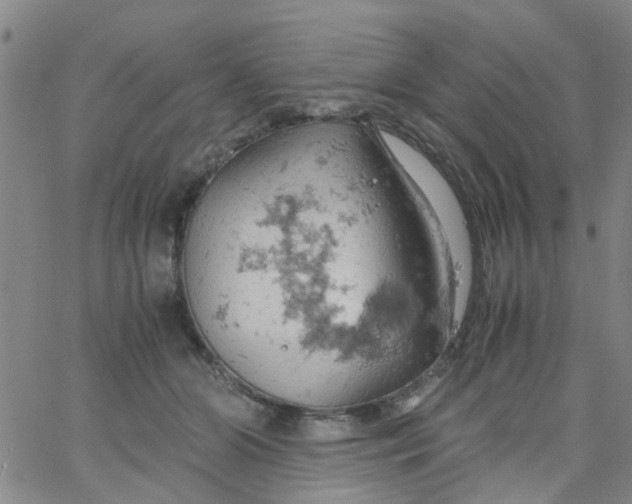 X0000061740510200512231503