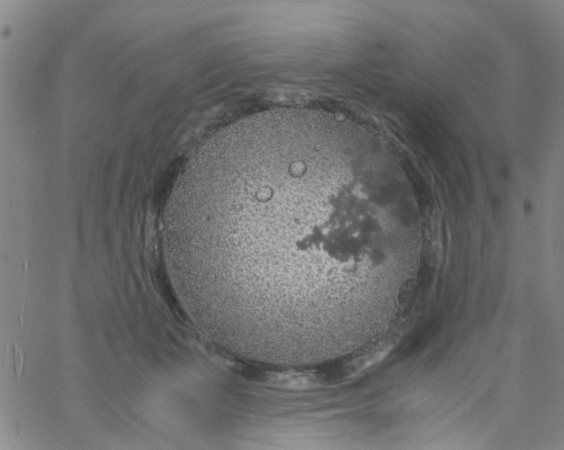 X0000061740511200512231503