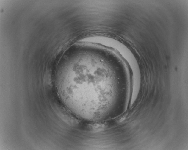 X0000061740512200512231503