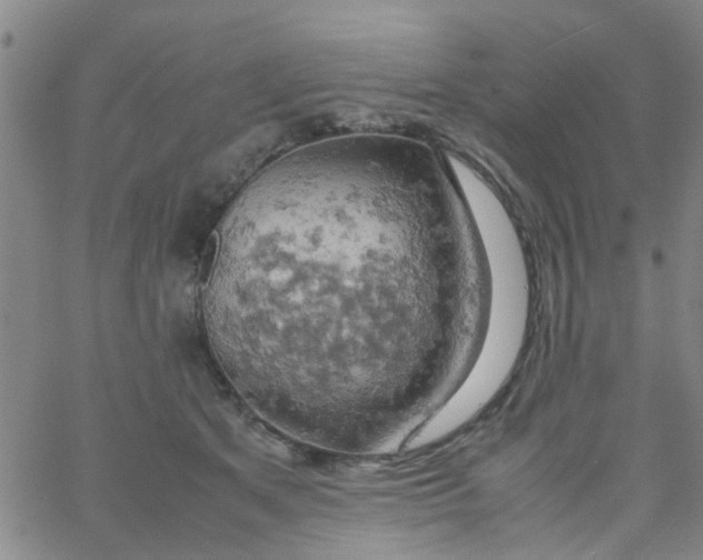 X0000061740513200512231503