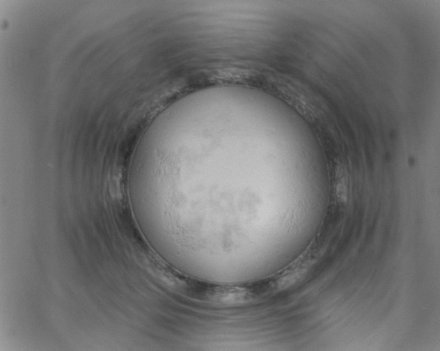 X0000061740514200512231503