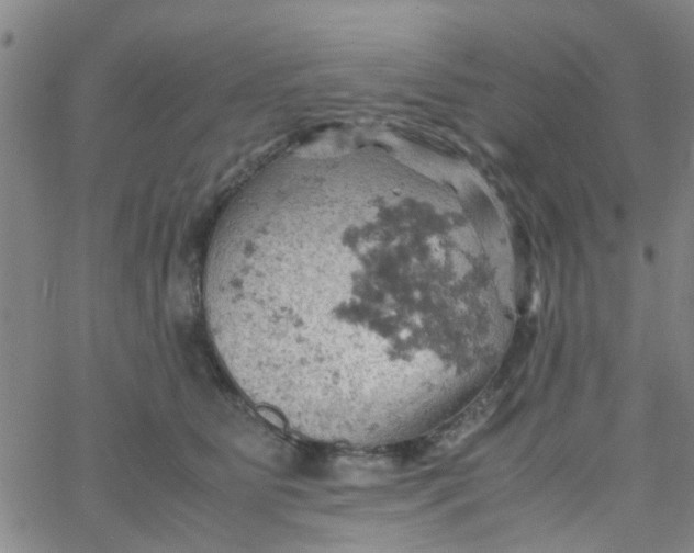 X0000061740515200512231503