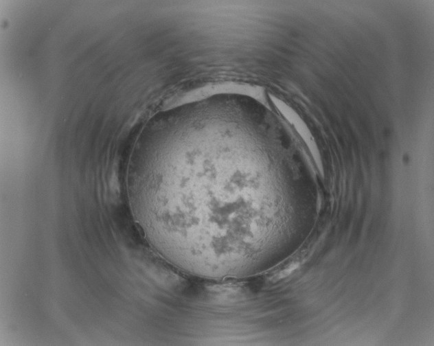 X0000061740516200512231503