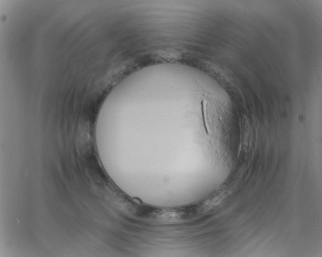 X0000061740518200512231503