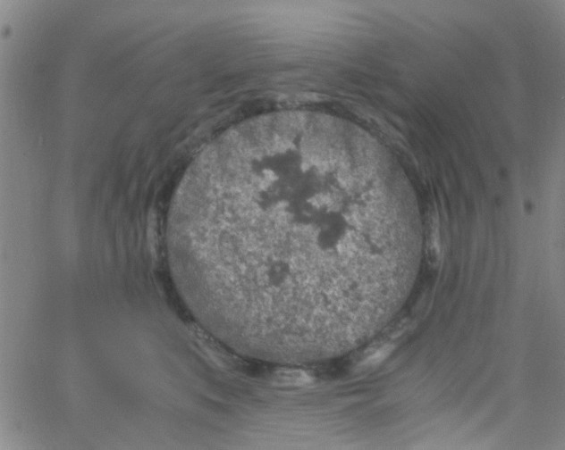 X0000061740519200512231503