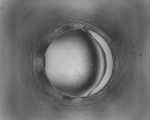 X0000061740521200512231503