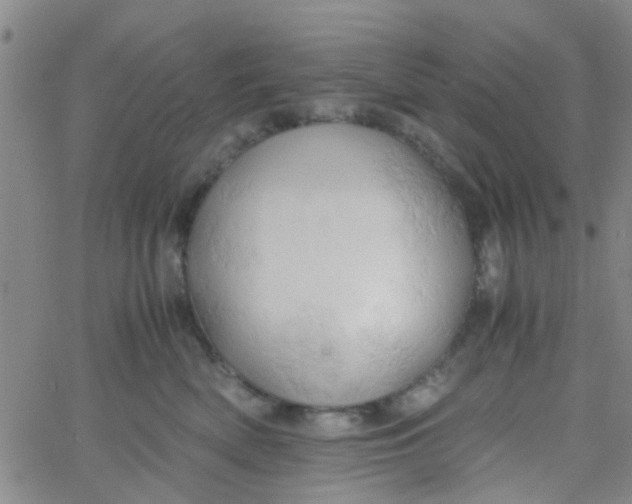 X0000061740522200512231503