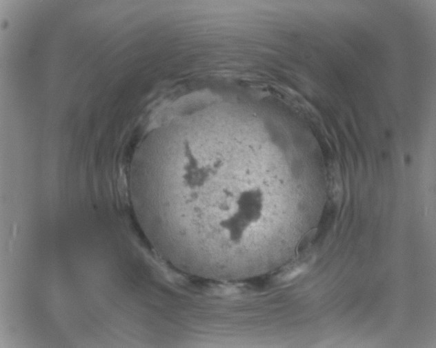 X0000061740523200512231503