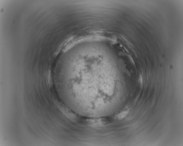 X0000061740524200512231503