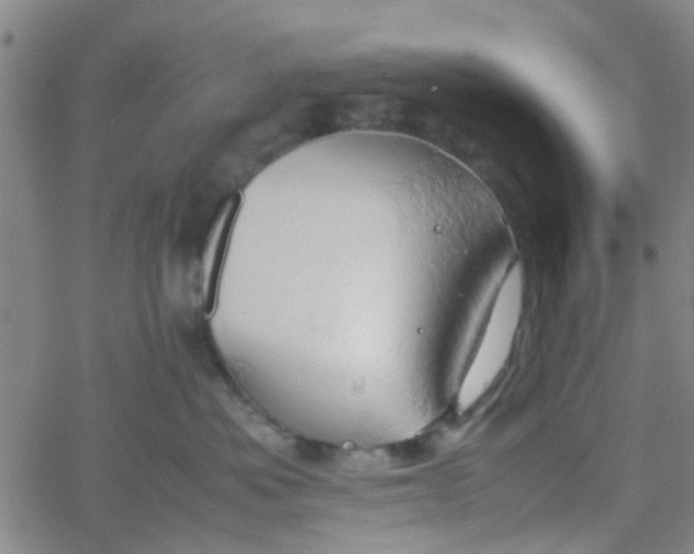 X0000061740525200512231503