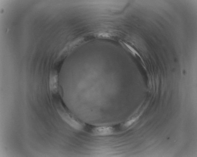 X0000061740526200512231503