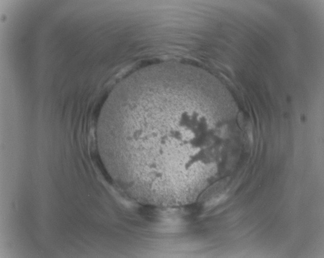 X0000061740527200512231503