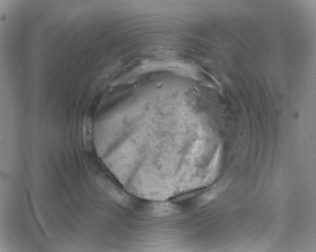 X0000061740528200512231503