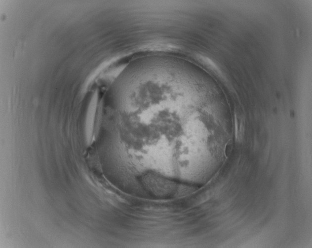 X0000061740531200512231502