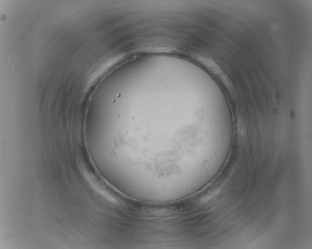 X0000061740533200512231502