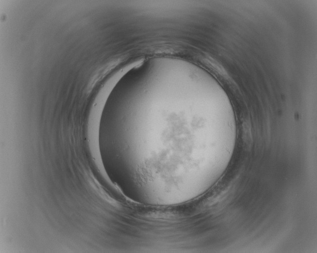 X0000061740537200512231502