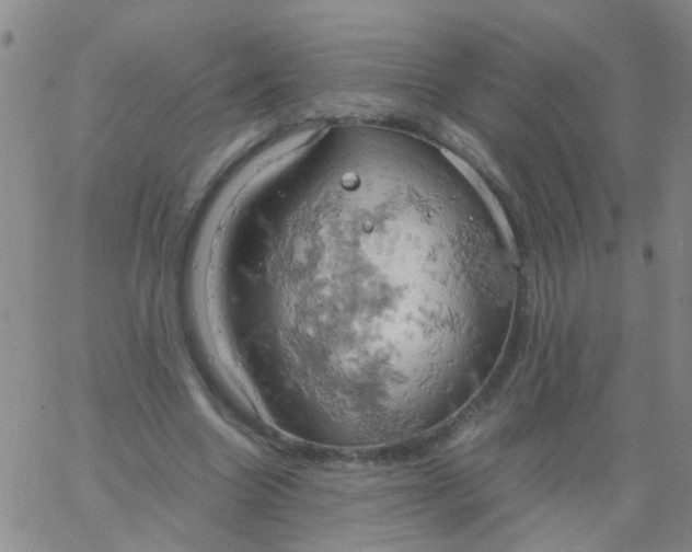 X0000061740538200512231502