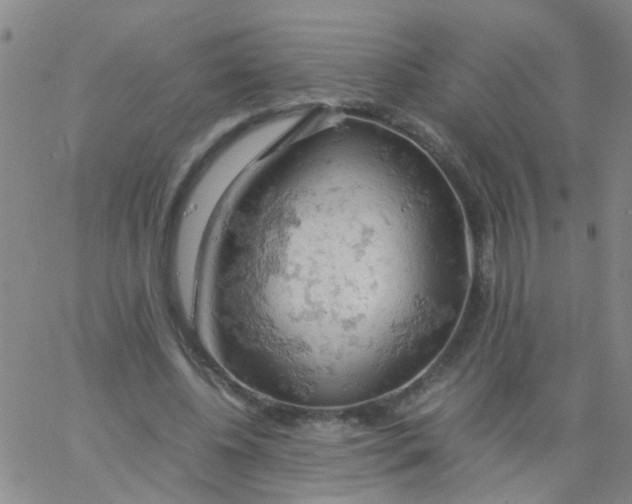 X0000061740540200512231502