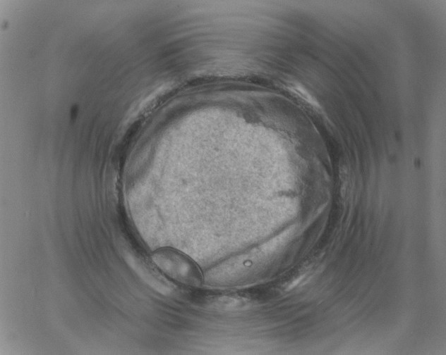 X0000061740542200512231502