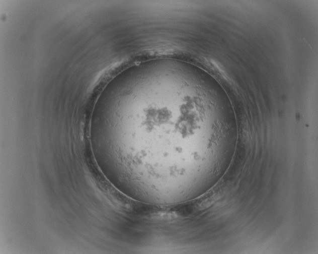 X0000061740543200512231502