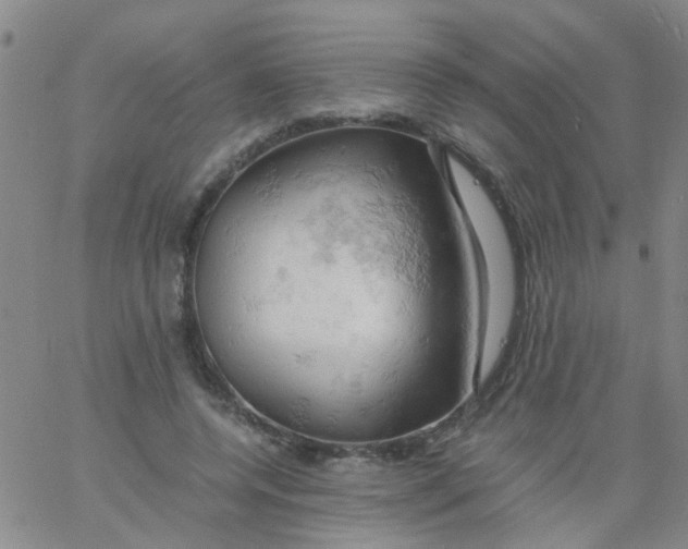 X0000061740544200512231502