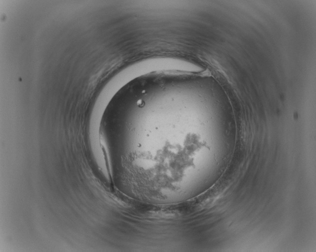 X0000061740545200512231502