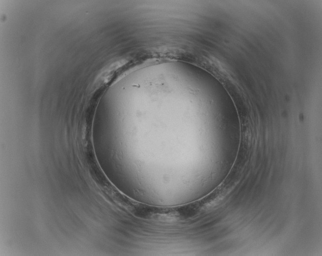 X0000061740548200512231502