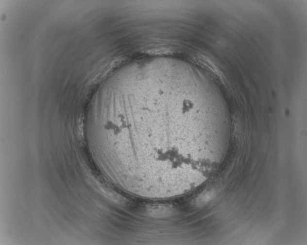 X0000061740549200512231503