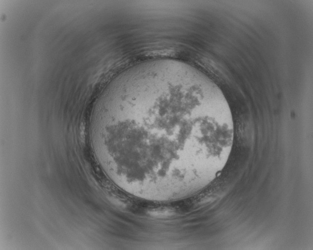 X0000061740551200512231503