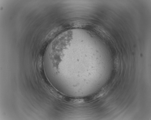 X0000061740554200512231503