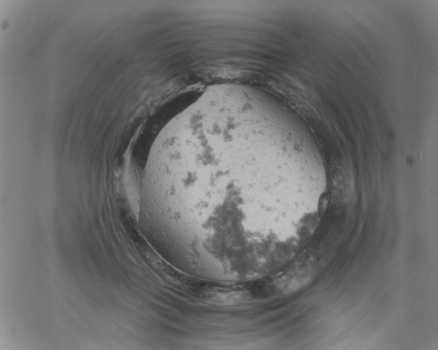 X0000061740555200512231503