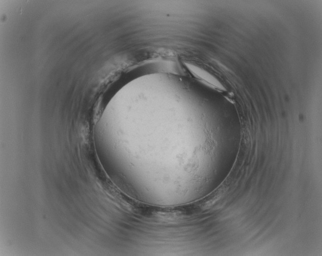 X0000061740556200512231503