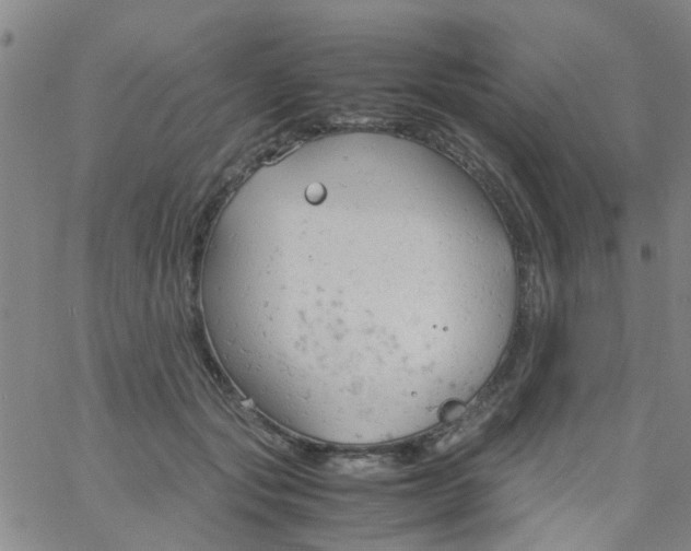 X0000061740557200512231503