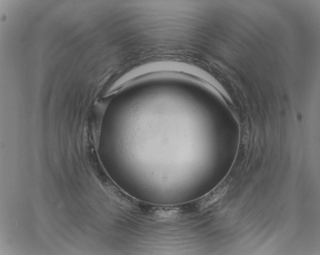 X0000061740560200512231503