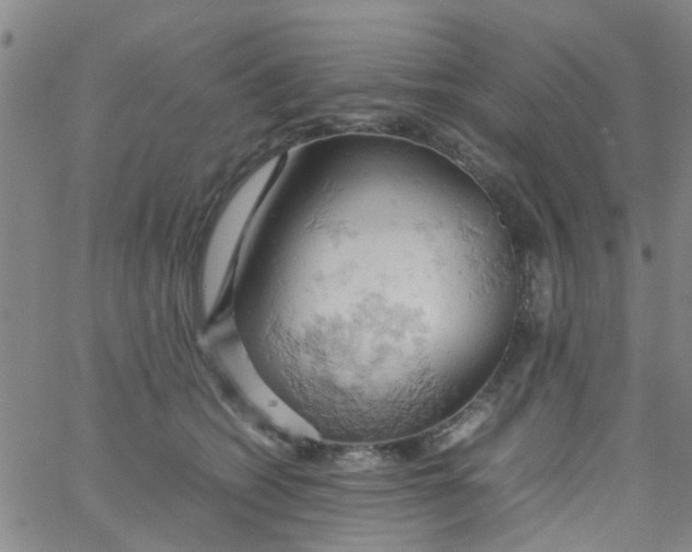 X0000061740562200512231503