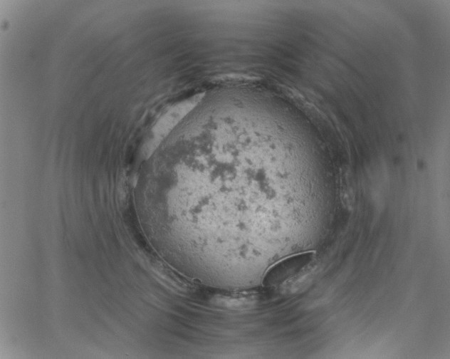 X0000061740563200512231503