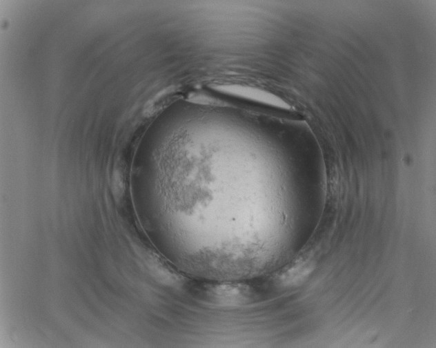 X0000061740566200512231503