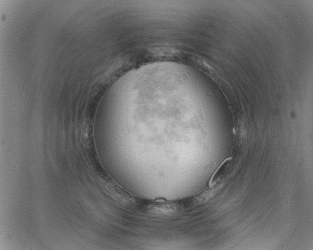 X0000061740567200512231503